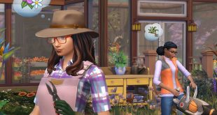 مجموعه بازی The Sims